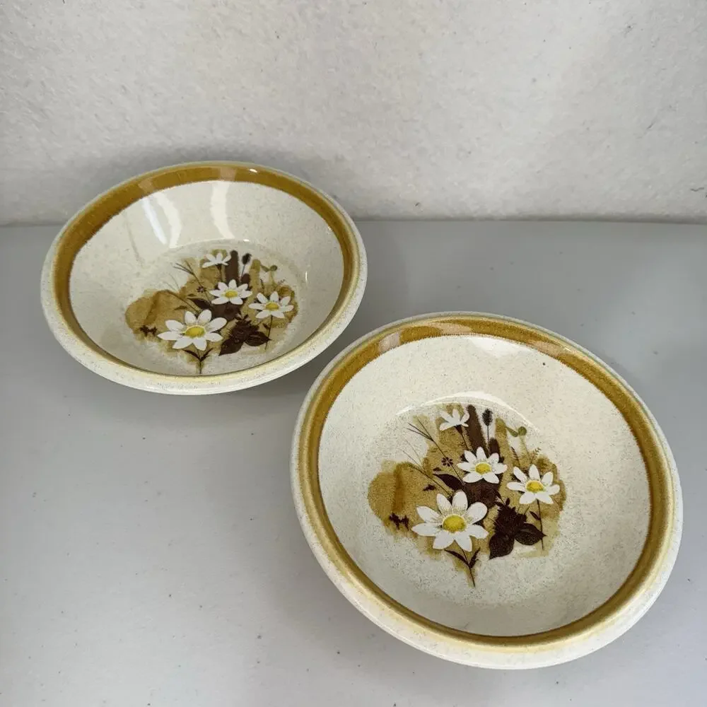 Lot of 5 Mikasa Daisy Mae Stone Manor Plates & Bowls Set MCM Floral Brown Japan